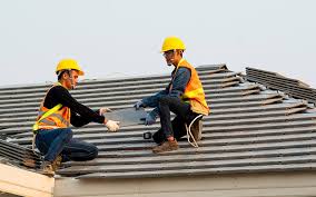 Professional Roofing and repair in Clio, AL